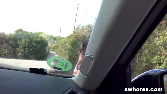 Превью Дешёвая придорожная шлюха вовсю старается № 46773