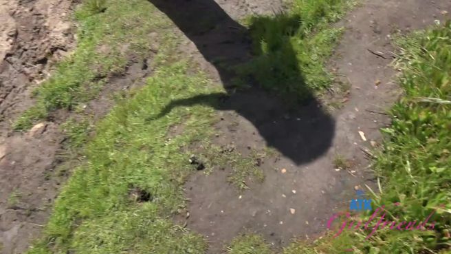 Превью Как всегда, прогулочка получилась замечательной № 46901