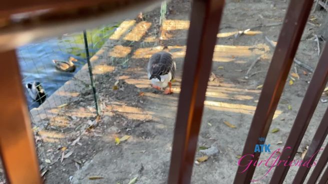 Превью Это же просто прекрасное первое свидание № 46911