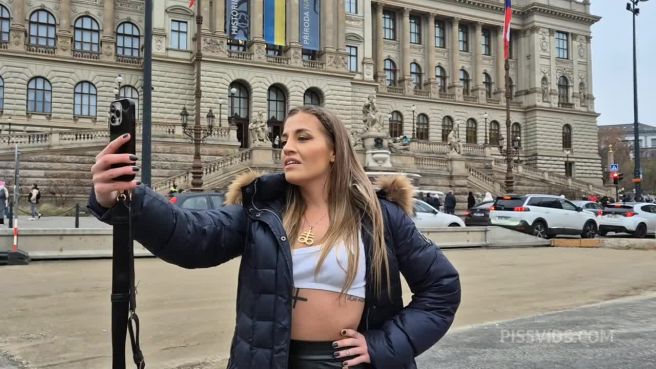 Превью Как быстро развести туристку на дикий разврат? № 47073