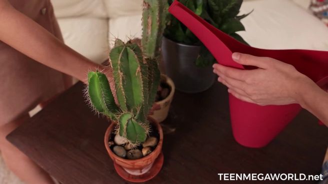 Превью Девушки в самом настоящем лесбийском тандеме № 47080